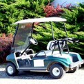 Golf Cart repair Peachtree City