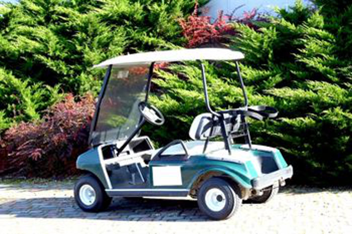 Golf Cart repair Peachtree City