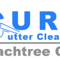guru-gutter-cleaning-peachtree-city-logo